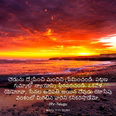 Picture 03 - ఆమోసు 5:15 TELIRV - చెడును ద్వేషించి - Bible Verse Picture