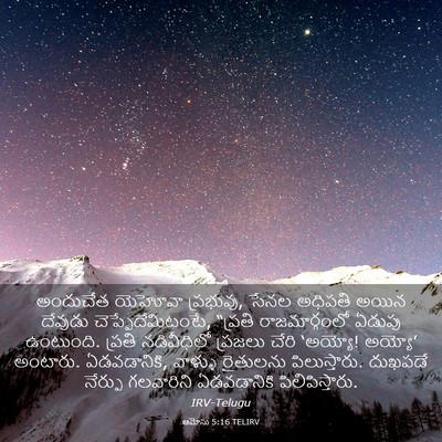 Picture 03 - ఆమోసు 5:16 TELIRV - అందుచేత యెహోవా - Bible Verse Picture