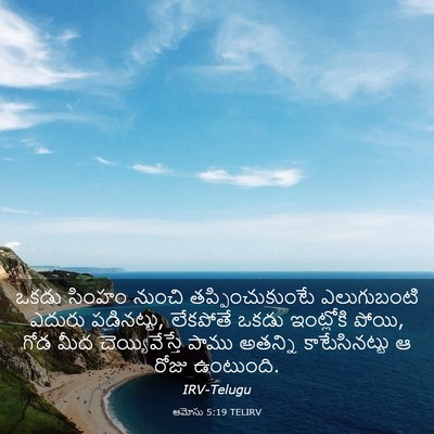 Picture 03 - ఆమోసు 5:19 TELIRV - ఒకడు సింహం నుంచి - Bible Verse Picture