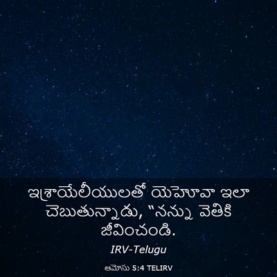 Picture 03 - ఆమోసు 5:4 TELIRV - ఇశ్రాయేలీయులతో - Bible Verse Picture