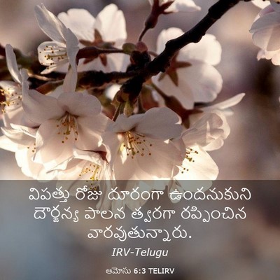Picture 03 - ఆమోసు 6:3 TELIRV - విపత్తు రోజు - Bible Verse Picture