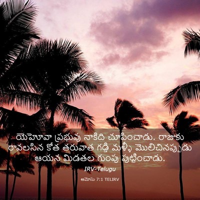 Picture 03 - ఆమోసు 7:1 TELIRV - యెహోవా ప్రభువు - Bible Verse Picture