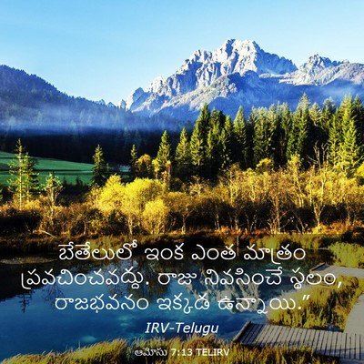 Picture 03 - ఆమోసు 7:13 TELIRV - బేతేలులో ఇంక ఎంత - Bible Verse Picture