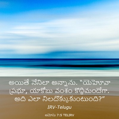 Picture 03 - ఆమోసు 7:5 TELIRV - అయితే నేనిలా - Bible Verse Picture