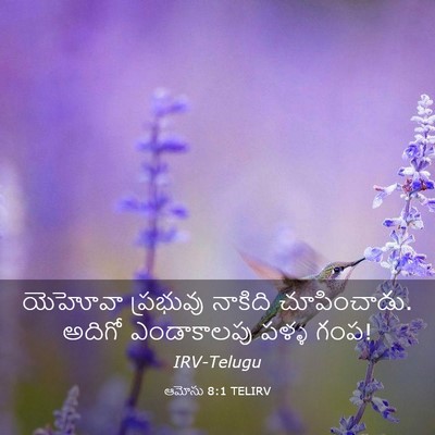 Picture 03 - ఆమోసు 8:1 TELIRV - యెహోవా ప్రభువు - Bible Verse Picture