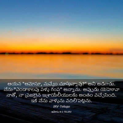 Picture 03 - ఆమోసు 8:2 TELIRV - ఆయన “ఆమోసూ, - Bible Verse Picture