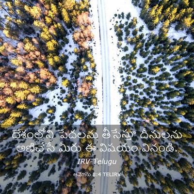 Picture 03 - ఆమోసు 8:4 TELIRV - దేశంలోని పేదలను - Bible Verse Picture
