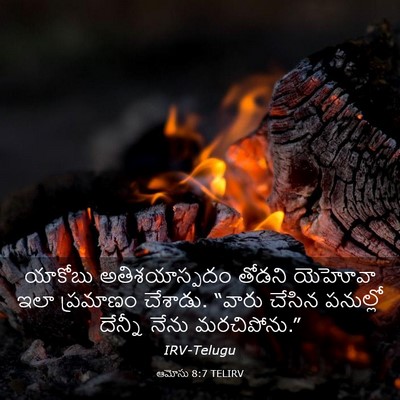 Picture 03 - ఆమోసు 8:7 TELIRV - యాకోబు - Bible Verse Picture