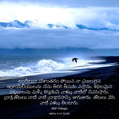 Picture 03 - ఆమోసు 9:14 TELIRV - బందీలుగా దేశాంతరం - Bible Verse Picture