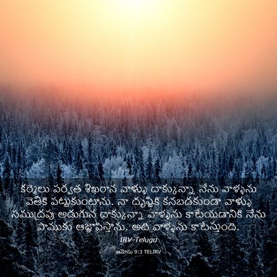Picture 03 - ఆమోసు 9:3 TELIRV - కర్మెలు పర్వత - Bible Verse Picture