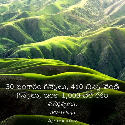 Picture 03 - ఎజ్రా 1:10 TELIRV - 30 బంగారం గిన్నెలు, - Bible Verse Picture