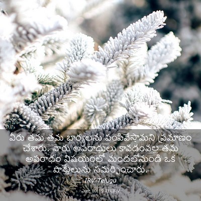 Picture 03 - ఎజ్రా 10:19 TELIRV - వీరు తమ తమ - Bible Verse Picture