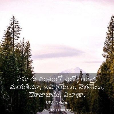 Picture 03 - ఎజ్రా 10:22 TELIRV - పషూరు వంశంలో - Bible Verse Picture