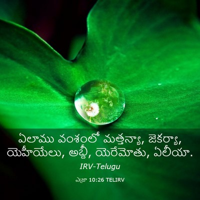 Picture 03 - ఎజ్రా 10:26 TELIRV - ఏలాము వంశంలో - Bible Verse Picture