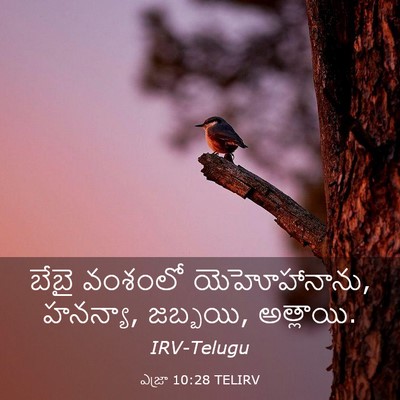 Picture 03 - ఎజ్రా 10:28 TELIRV - బేబై వంశంలో - Bible Verse Picture