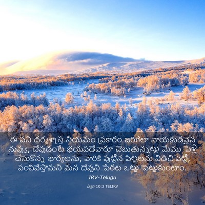 Picture 03 - ఎజ్రా 10:3 TELIRV - ఈ పని ధర్మశాస్త్ర - Bible Verse Picture