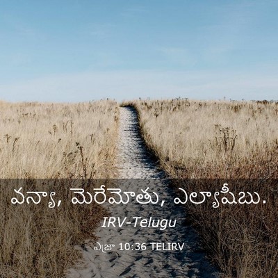 Picture 03 - ఎజ్రా 10:36 TELIRV - వన్యా, మెరేమోతు, - Bible Verse Picture