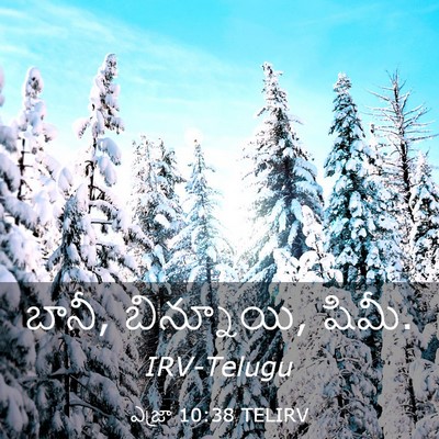 Picture 03 - ఎజ్రా 10:38 TELIRV - బానీ, బిన్నూయి, - Bible Verse Picture