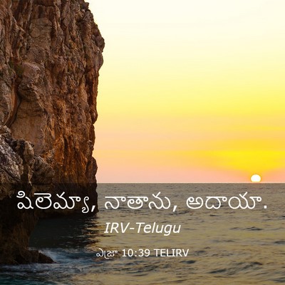 Picture 03 - ఎజ్రా 10:39 TELIRV - షిలెమ్యా, నాతాను, - Bible Verse Picture