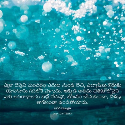 Picture 03 - ఎజ్రా 10:6 TELIRV - ఎజ్రా దేవుని - Bible Verse Picture
