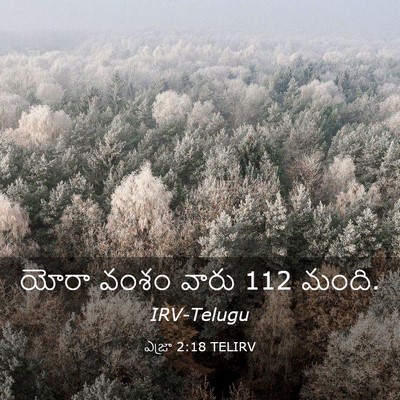 Picture 03 - ఎజ్రా 2:18 TELIRV - యోరా వంశం వారు 112 - Bible Verse Picture