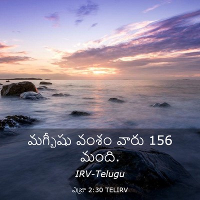 Picture 03 - ఎజ్రా 2:30 TELIRV - మగ్బీషు వంశం వారు - Bible Verse Picture