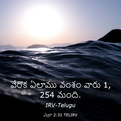 Picture 03 - ఎజ్రా 2:31 TELIRV - వేరొక ఏలాము వంశం - Bible Verse Picture