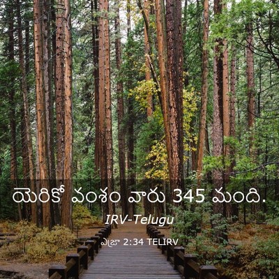 Picture 03 - ఎజ్రా 2:34 TELIRV - యెరికో వంశం వారు 345 - Bible Verse Picture