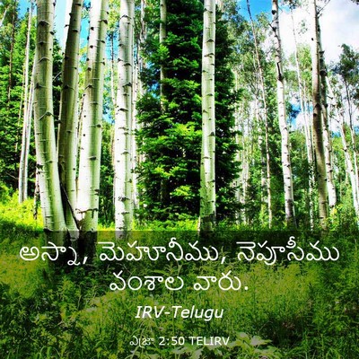 Picture 03 - ఎజ్రా 2:50 TELIRV - అస్నా, మెహూనీము, - Bible Verse Picture