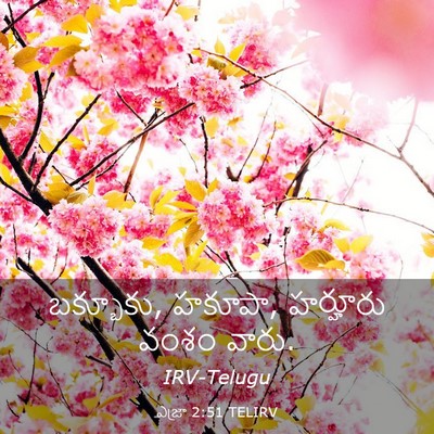 Picture 03 - ఎజ్రా 2:51 TELIRV - బక్బూకు, హకూపా, - Bible Verse Picture