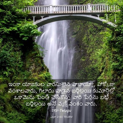 Picture 03 - ఎజ్రా 2:61 TELIRV - ఇంకా యాజకుల - Bible Verse Picture