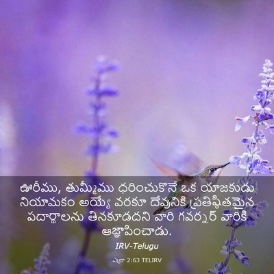 Picture 03 - ఎజ్రా 2:63 TELIRV - ఊరీము, తుమ్మీము - Bible Verse Picture