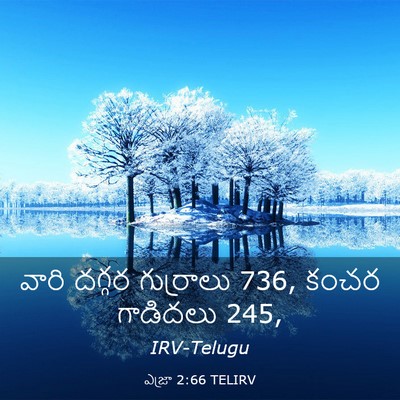 Picture 03 - ఎజ్రా 2:66 TELIRV - వారి దగ్గర - Bible Verse Picture