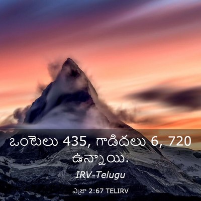 Picture 03 - ఎజ్రా 2:67 TELIRV - ఒంటెలు 435, గాడిదలు 6, - Bible Verse Picture
