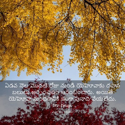 Picture 03 - ఎజ్రా 3:6 TELIRV - ఏడవ నెల మొదటి రోజు - Bible Verse Picture