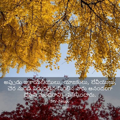 Picture 03 - ఎజ్రా 6:16 TELIRV - అప్పుడు - Bible Verse Picture