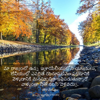 Picture 03 - ఎజ్రా 7:14 TELIRV - మా రాజ్యంలో ఉన్న - Bible Verse Picture