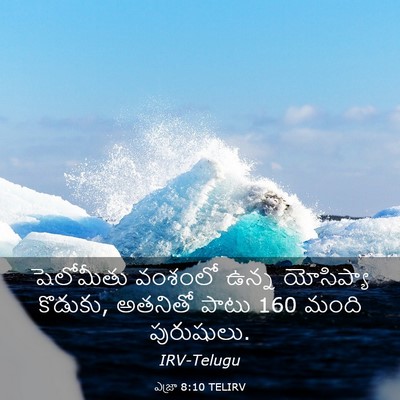 Picture 03 - ఎజ్రా 8:10 TELIRV - షెలోమీతు వంశంలో - Bible Verse Picture