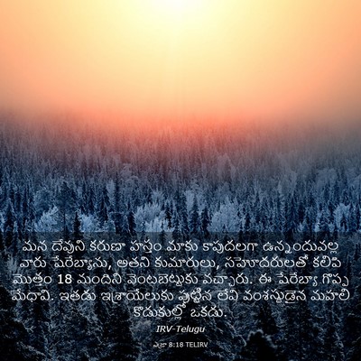 Picture 03 - ఎజ్రా 8:18 TELIRV - మన దేవుని కరుణా - Bible Verse Picture