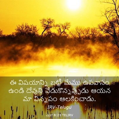 Picture 03 - ఎజ్రా 8:23 TELIRV - ఈ విషయాన్ని బట్టి - Bible Verse Picture