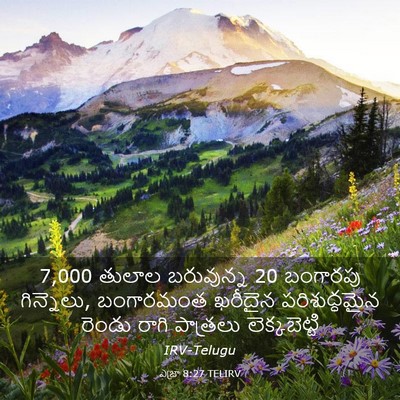 Picture 03 - ఎజ్రా 8:27 TELIRV - 7,000 తులాల బరువున్న 20 - Bible Verse Picture