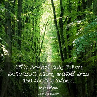Picture 03 - ఎజ్రా 8:3 TELIRV - పరోషు వంశంలో ఉన్న - Bible Verse Picture