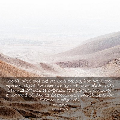 Picture 03 - ఎజ్రా 8:35 TELIRV - చెరలోకి వెళ్ళిన - Bible Verse Picture