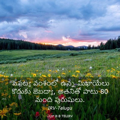 Picture 03 - ఎజ్రా 8:8 TELIRV - షెఫట్య వంశంలో - Bible Verse Picture
