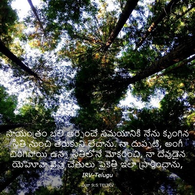 Picture 03 - ఎజ్రా 9:5 TELIRV - సాయంత్రం బలి - Bible Verse Picture