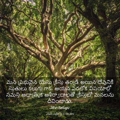 Picture 03 - ఎఫెసీ పత్రిక 1:3 TELIRV - మన ప్రభువైన యేసు - Bible Verse Picture