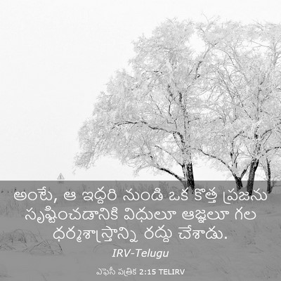 Picture 03 - ఎఫెసీ పత్రిక 2:15 TELIRV - అంటే, ఆ ఇద్దరి - Bible Verse Picture