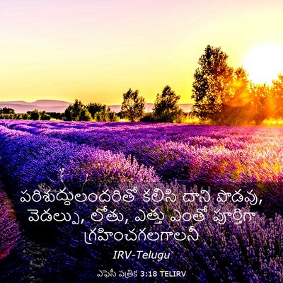 Picture 03 - ఎఫెసీ పత్రిక 3:18 TELIRV - పరిశుద్ధులందరితో - Bible Verse Picture