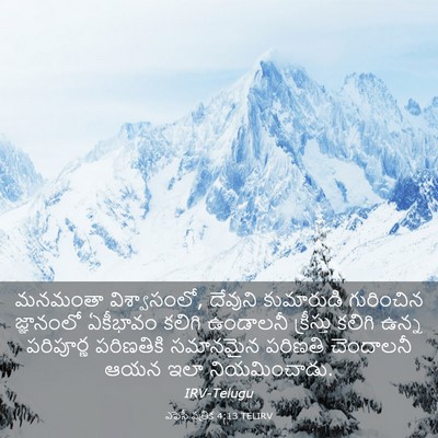 Picture 03 - ఎఫెసీ పత్రిక 4:13 TELIRV - మనమంతా - Bible Verse Picture