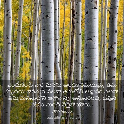 Picture 03 - ఎఫెసీ పత్రిక 4:18 TELIRV - ఎందుకంటే వారి - Bible Verse Picture